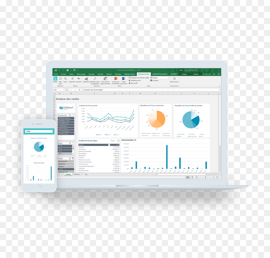 Computer Software di Report di Microsoft Excel Business reporting di Pilotaggio - Standardizzazione