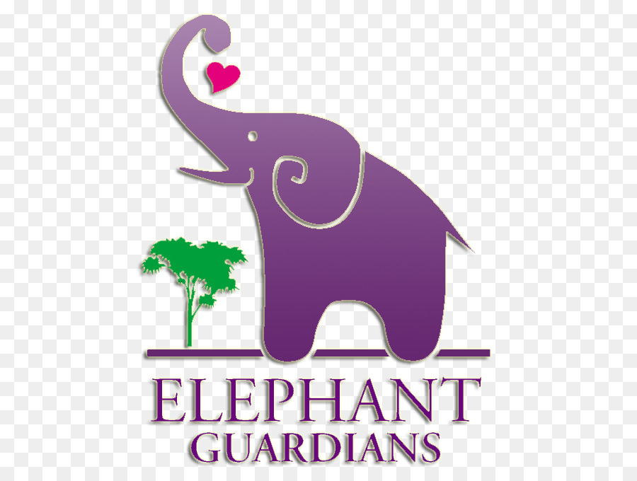 Indischer Elefant Zoo von Los Angeles Elephantidae Bull Circus - Asiatische Elefanten