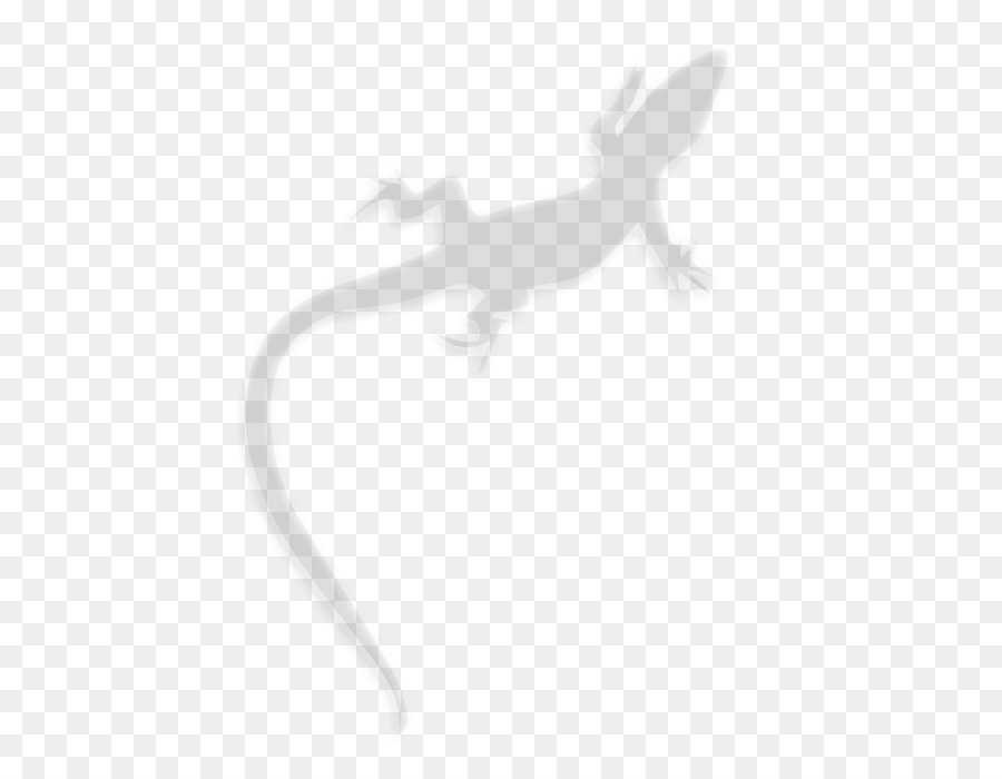 Gecko Weiß - Yucaipa