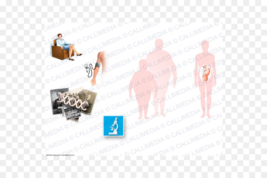 Bệnh tiểu đường bệnh tiểu đường minh Họa anatomique - ráºn 3d
