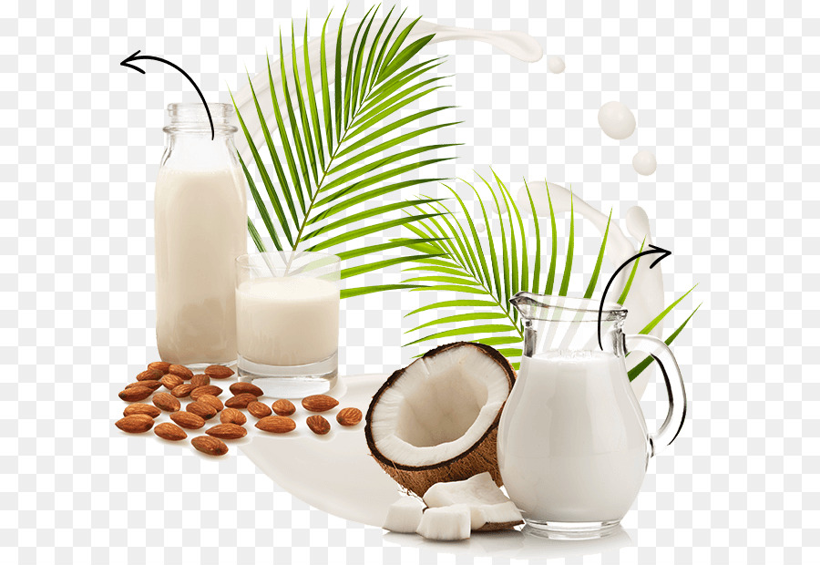 Pflanze Milch Mandel Milch Kokosnuss Milch Kokosnuss Wasser - Milch