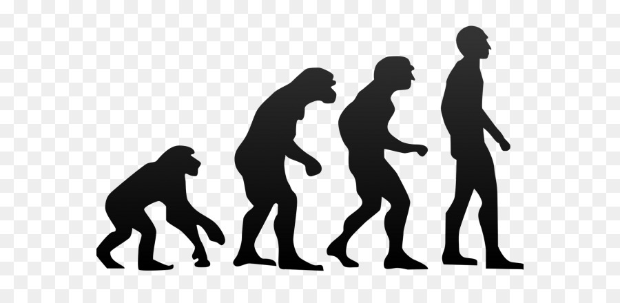 Di Neanderthal, l'Homo sapiens, l'evoluzione Umana Ape - Darwin