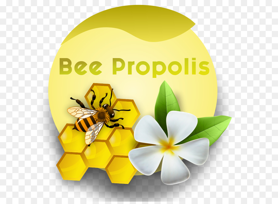 Honig Bienen Desktop Wallpaper Blühende pflanze - Biene Propolis