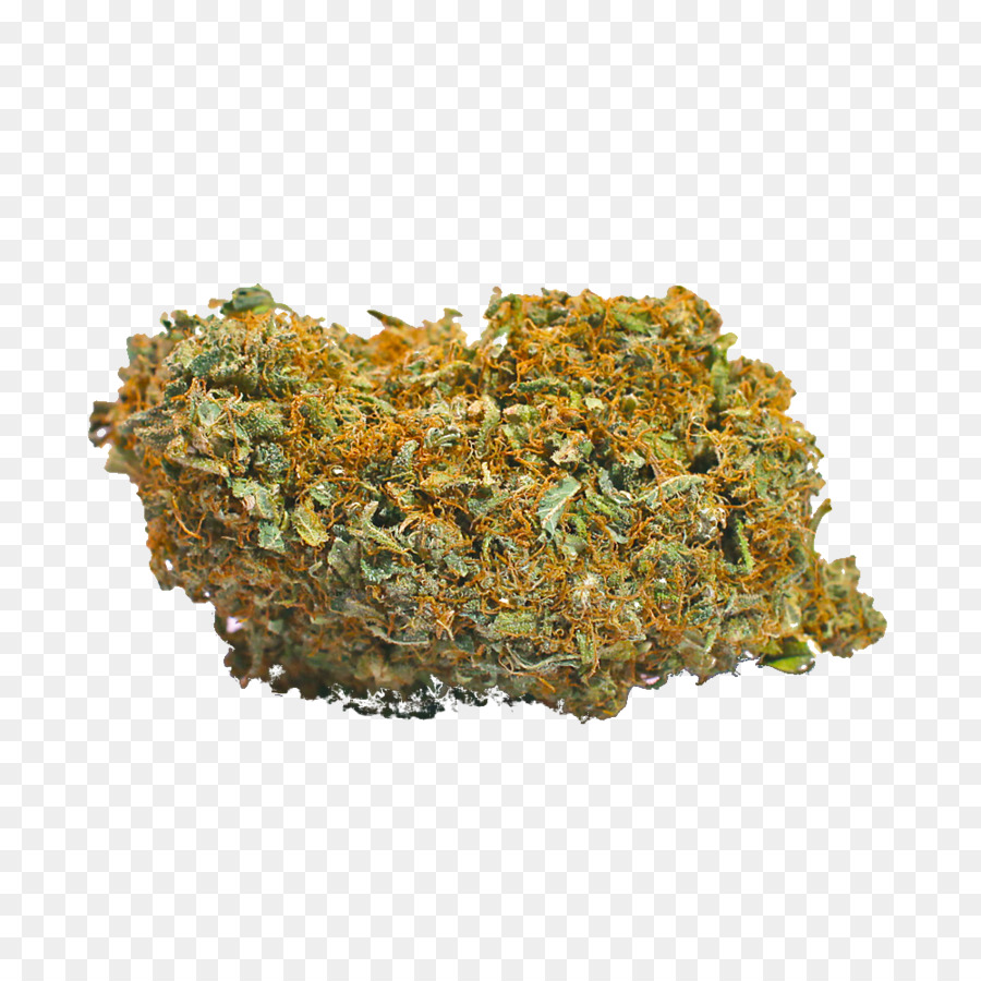 Il cannabidiolo Haze, Skunk Cannabis sativa - canapa