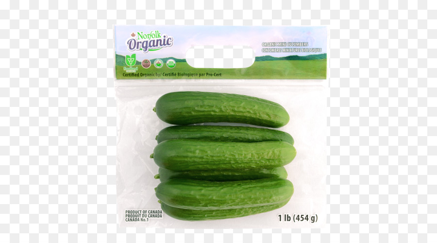 Gurke-Melone Bio-Lebensmittel - Gurke