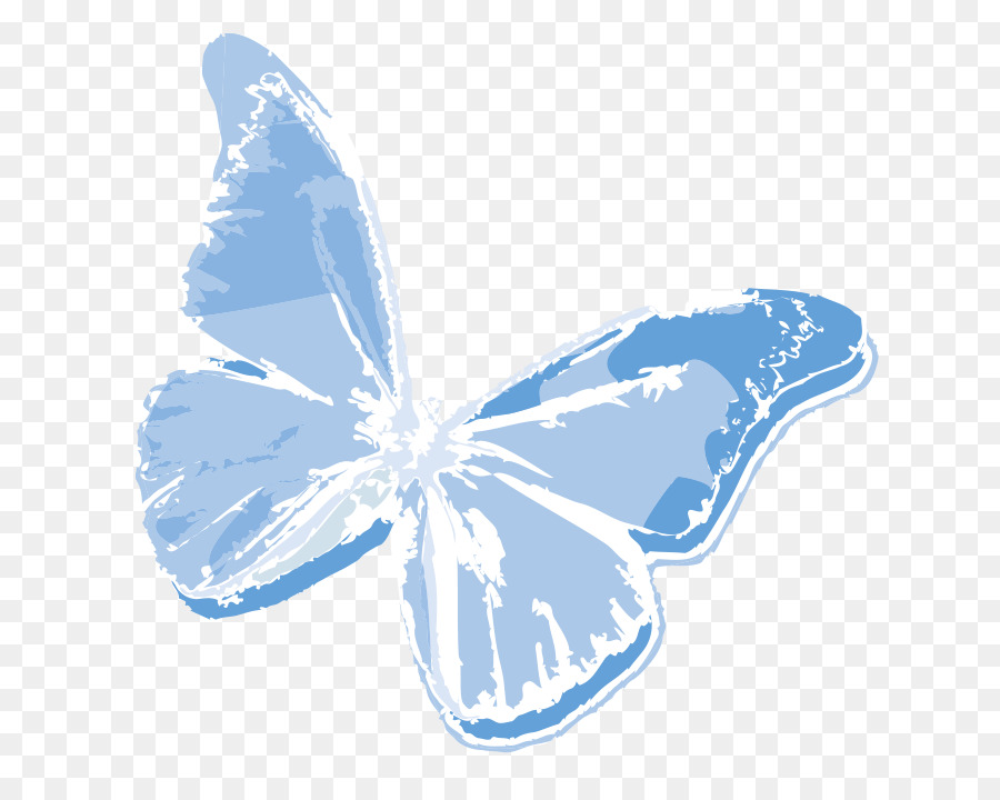 Butterfly-Newsletter Per E-Mail Vereinigten Staaten Buchen - Schmetterling