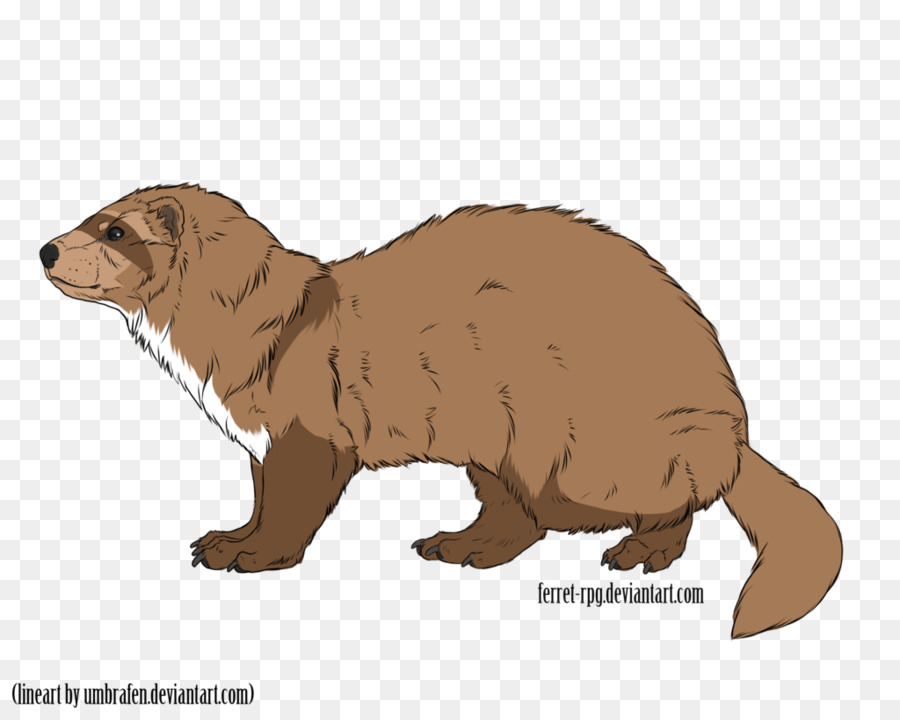 Con Chồn Beaver Loại Sóc Râu Mõm - Bánh Mì Nướng Vẽ