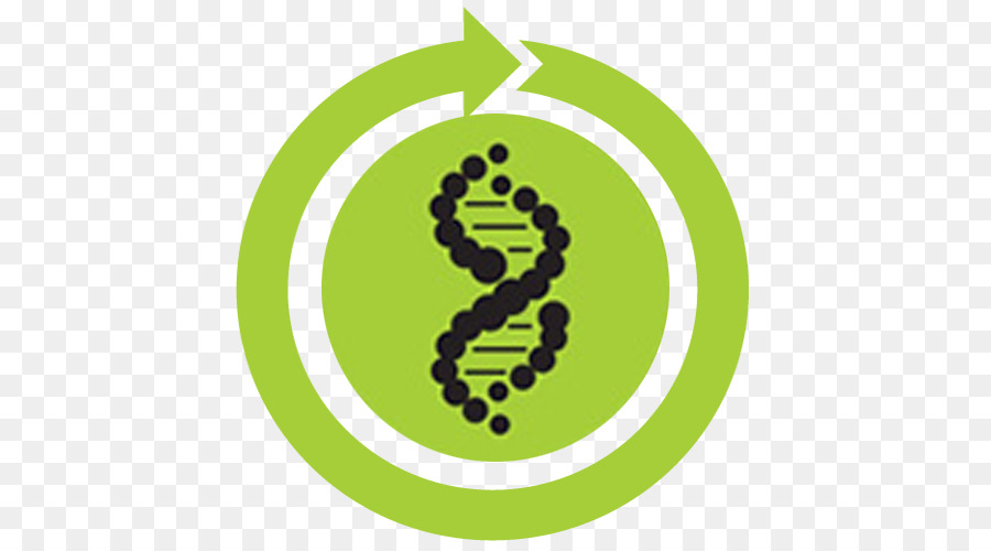DNA - japanische Version-Royalty-free Biology - Symbol zurücksetzen