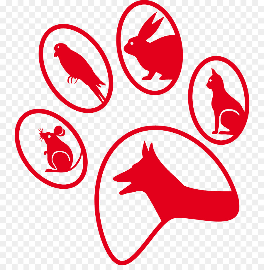 Katze, Tierarzt, Hund, Kleintierpraxis Haustier - Katze