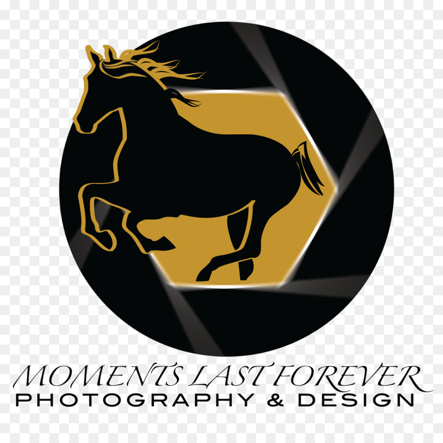 Pferd Logo Schriftart - Pferd