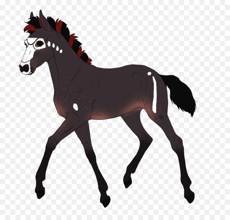 Mustang Pony Fohlen Hengst Fohlen - Mustang