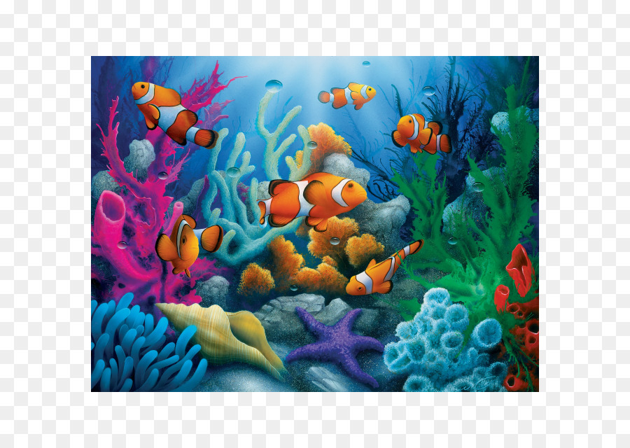 Mách bạn với hơn 108 hình vẽ san hô hay nhất thtantai2eduvn