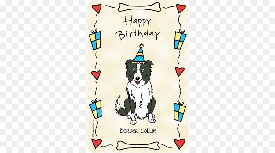 Beagle, chó colley Biên giới Xoay bánh Sinh nhật con Chó con - con chó con
