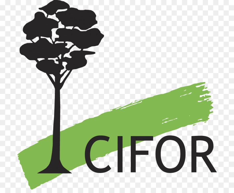 Center for International Forestry Research-Rechte und Ressourcen Initiative - Wald