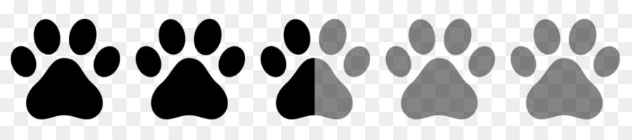 Il pechinese di Labrador Retriever Border Terrier Maltese cane - tigre