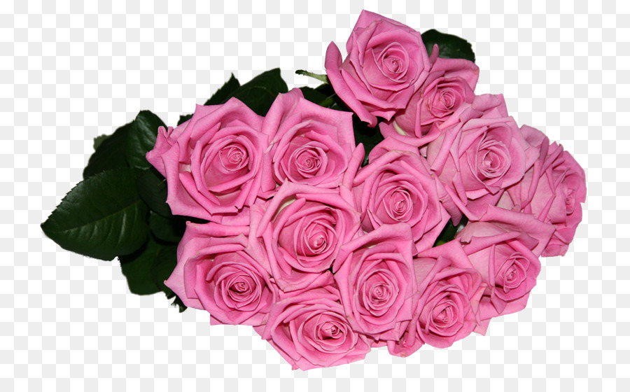 Giardino Di Rose Rosa Sfondo Del Desktop Clip Art Buon Compleanno Scaricare Png Disegno Png Trasparente Fiore Png Scaricare