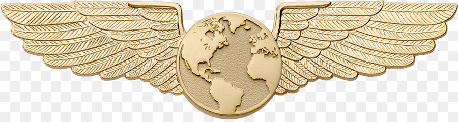 0506147919 Luftfahrt-Emblem Insegna Schmuck - große Flügel