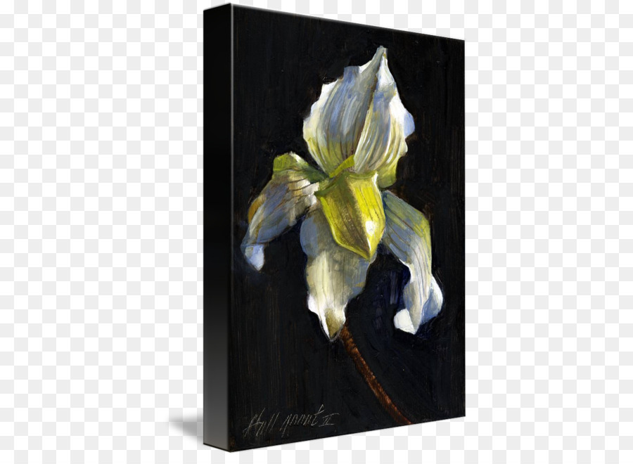 Still-life Oil painting Gespritzt Art - weiße Orchidee