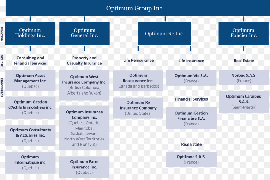 Asset Management Organization Chart