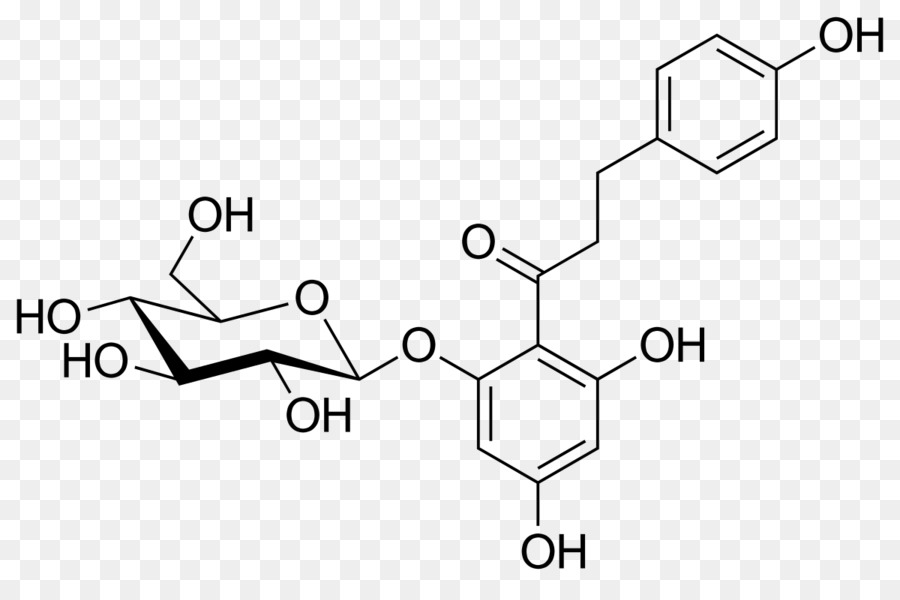 Phlorizin piante Medicinali SGLT2 sostanza Chimica di Latifoglie piantaggine - numero 20