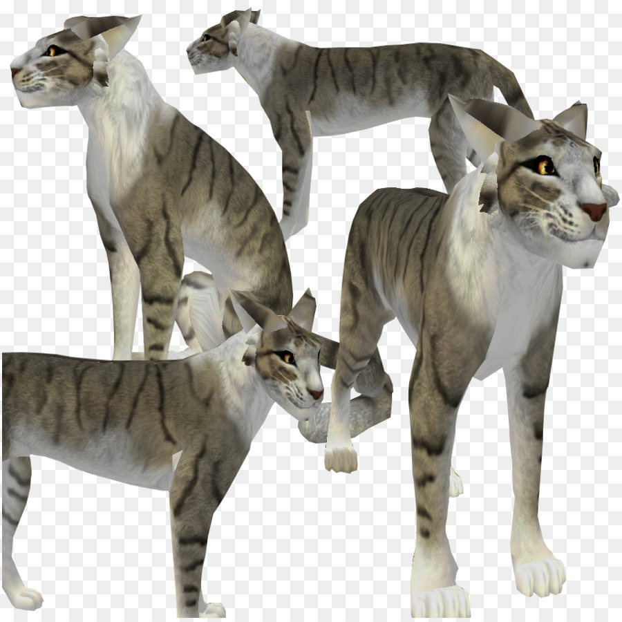 Gatto del bengala gatto selvatico Exotic Shorthair Avana Zampa - cane