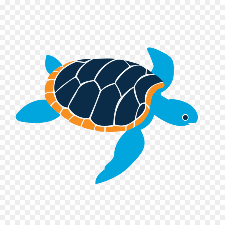 Đảo Quà Trường thẻ Sinh viên dại dột rùa biển - Món quà