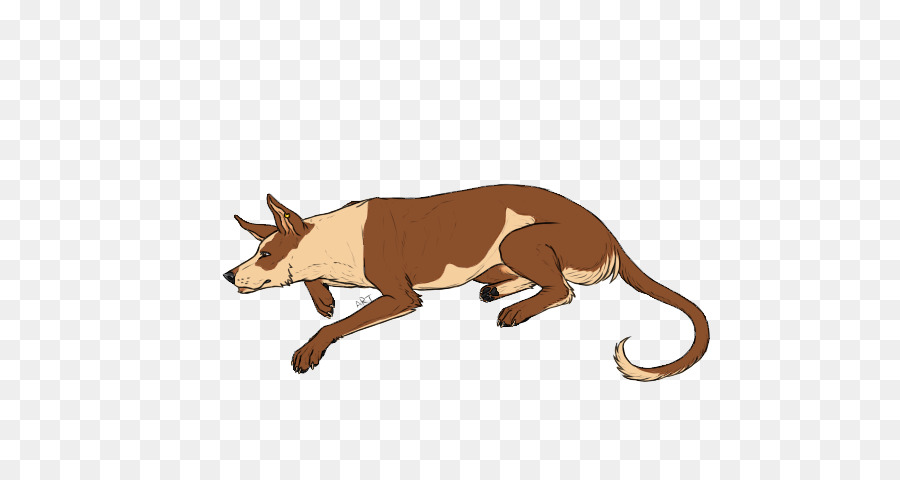 Leone il Grande gatto Fauna selvatica - cane pigro