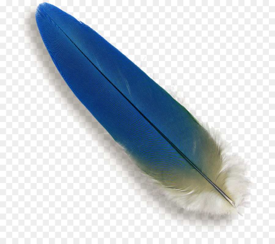 Papagei-Vogel-Feder-Ara Blau - Feder Blau