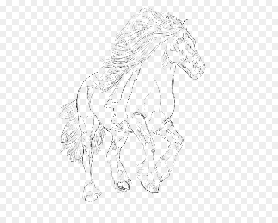 Mähne Mustang Appaloosa Gypsy horse Pony - Zigeuner Pferd