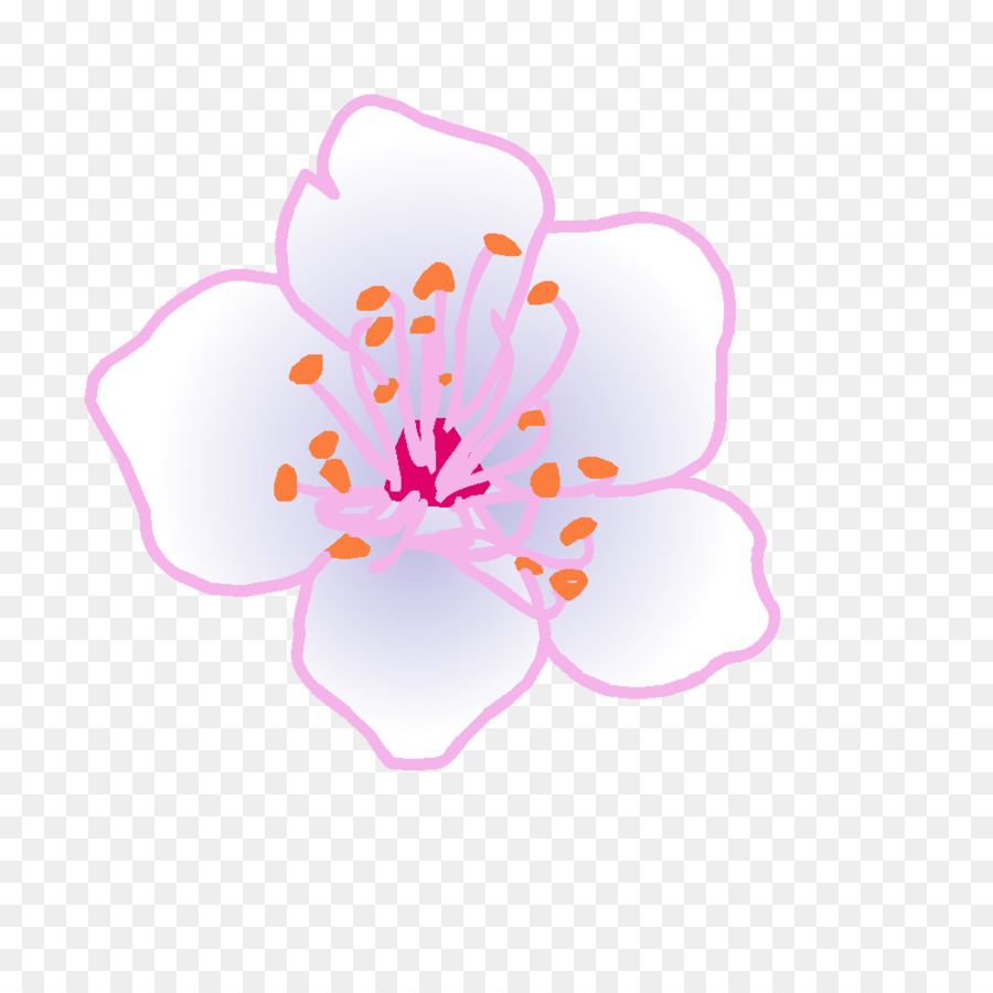 Blütenblatt Zeichnung Clip art - pflanzen