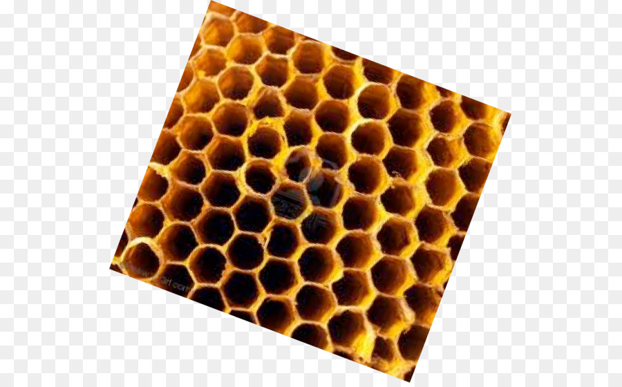 Insect Honeycomb