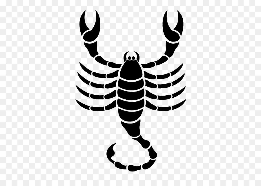 Skorpion Sternzeichen Astrologie Tierkreiszeichen die Astrologischen Symbole - Skorpion
