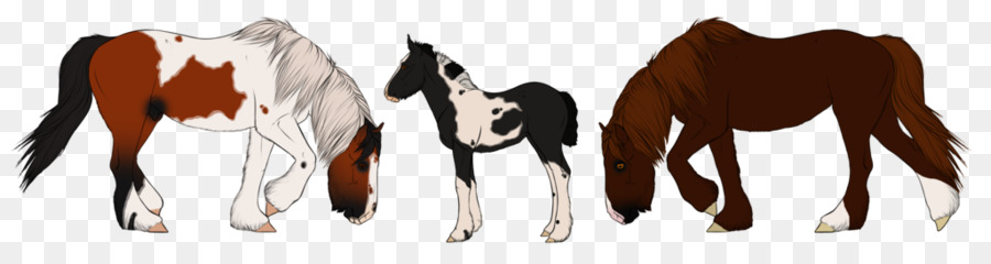 Mustang Fohlen Colt Stallion Mare - Zigeuner Pferd