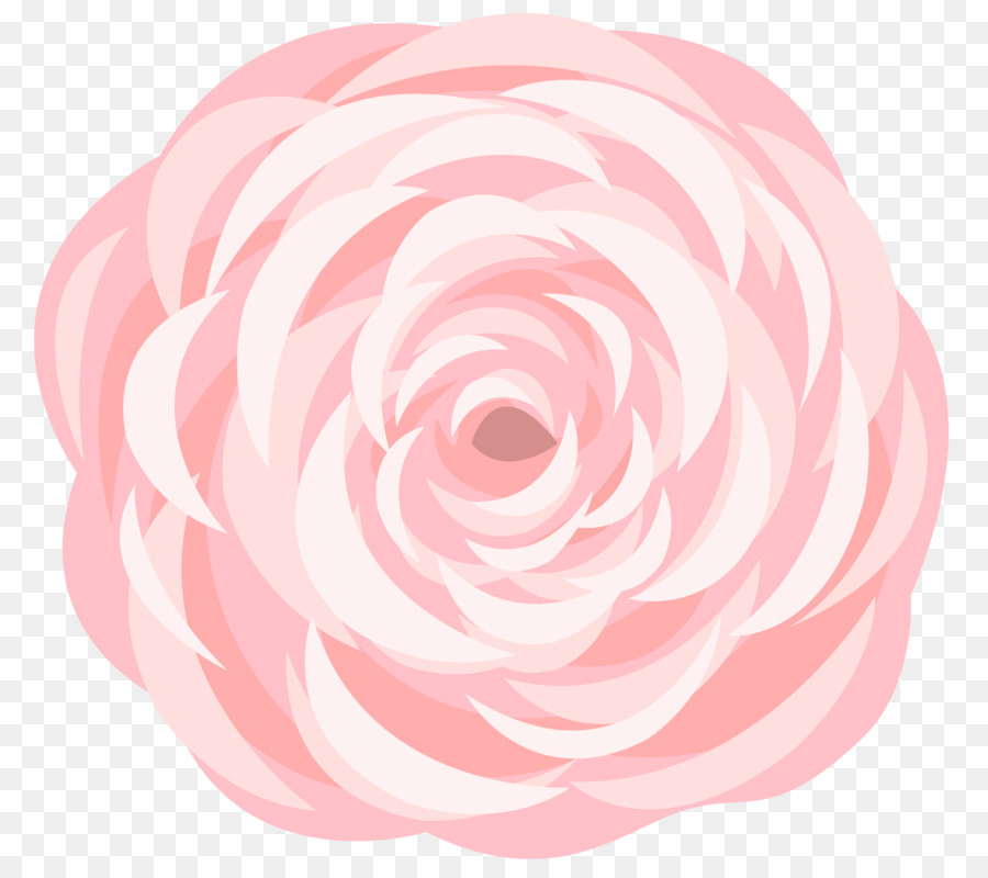 Garten Rosen Kohl rose, Schnittblumen Floral design - blume