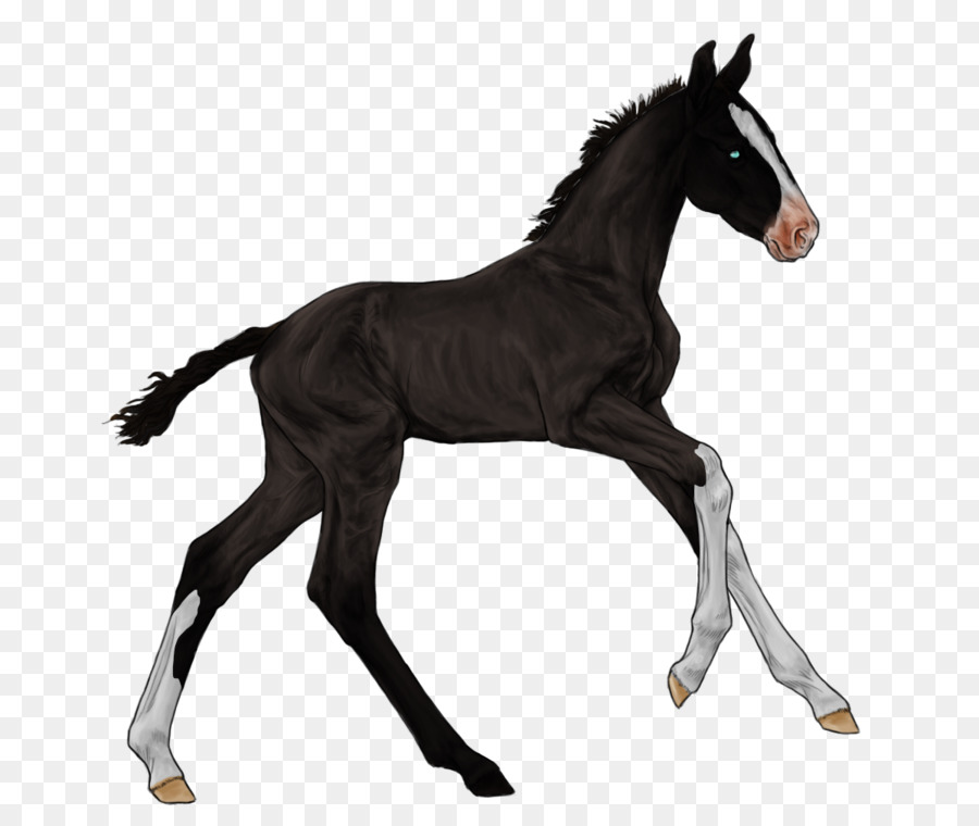Mustang Ngựa con Ngựa Colt Morgan ngựa - trang trại phác thảo