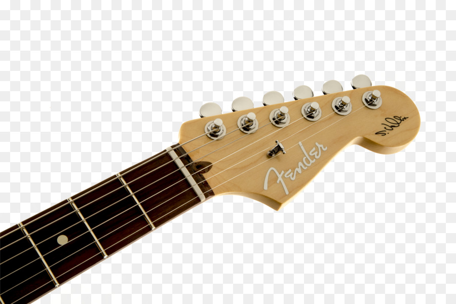 Griffbrett Fender Stratocaster E-Gitarre Charvel Hals - E Gitarre