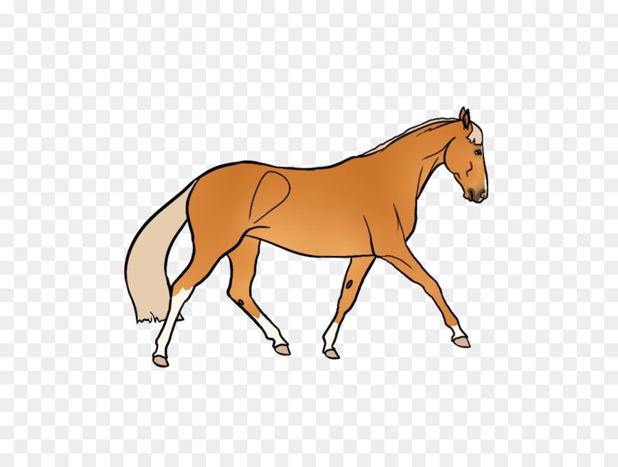 Chú Ngựa Bờm Ngựa Ngựa Colt - mustang