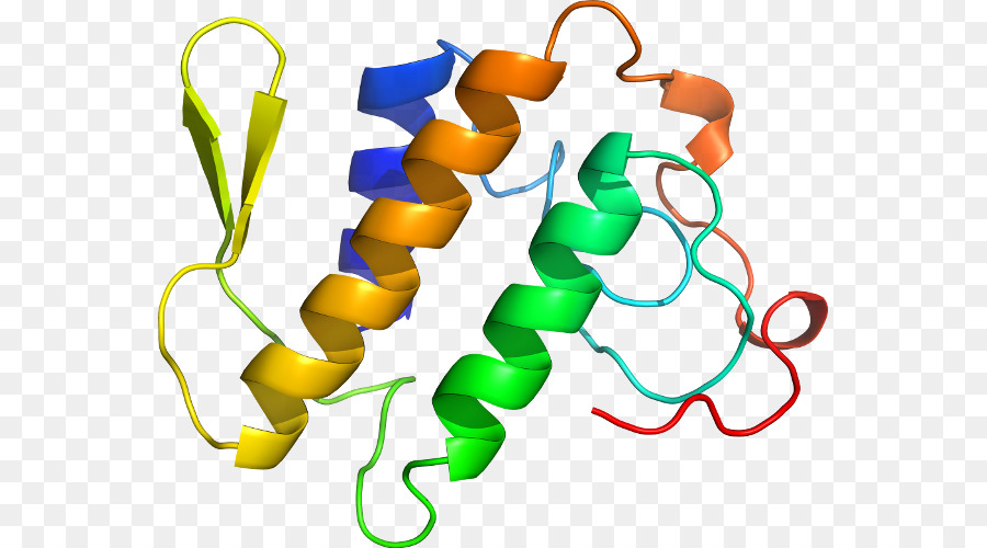 Organismus Line Clip art - Phospholipase a2