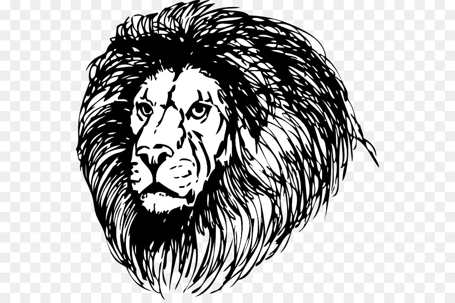 Lionhead coniglio Disegno Clip art - leone