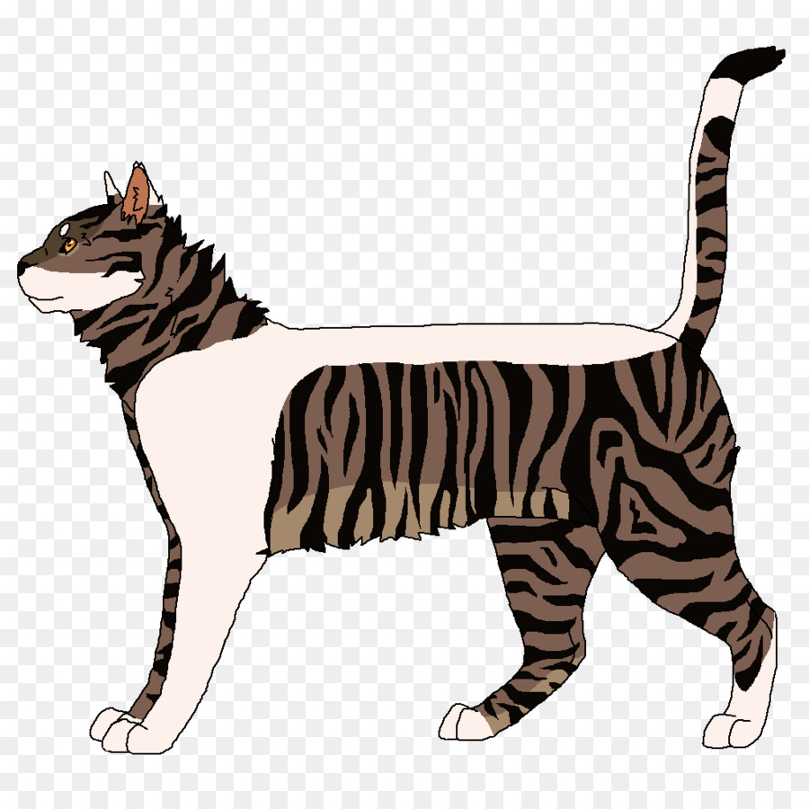 Baffi Tabby gatto Tigre Domestica gatto pelo corto - tigre