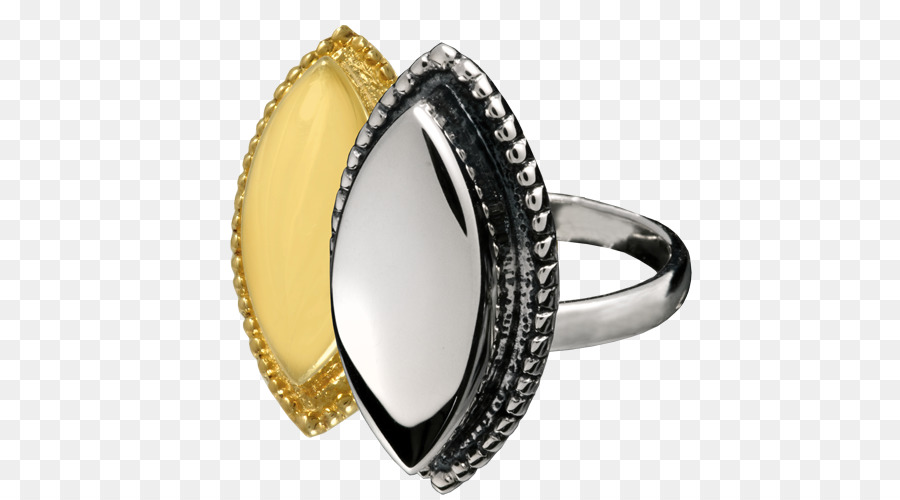 Feuerbestattung-Ring-Schmuck-Urne Halskette - Ring