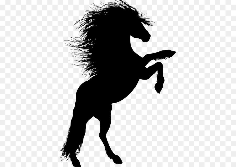 Hengst, Pferd, Aufzucht Silhouette Clip art - Pferd