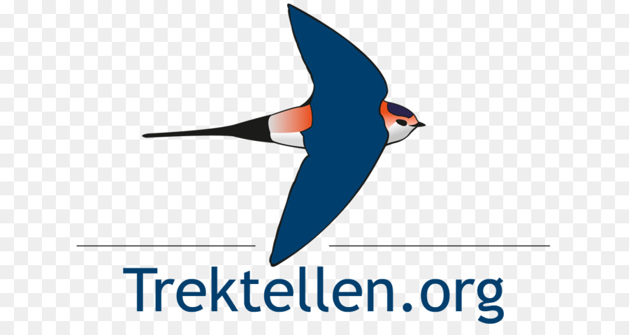 Blankaart Woumen Logo Uccello EBCC - migrazione simbolo