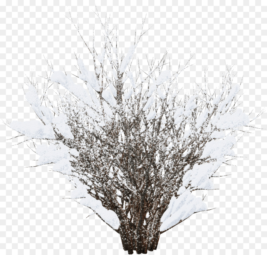 Inverno Neve Arbusto Clip art - inverno