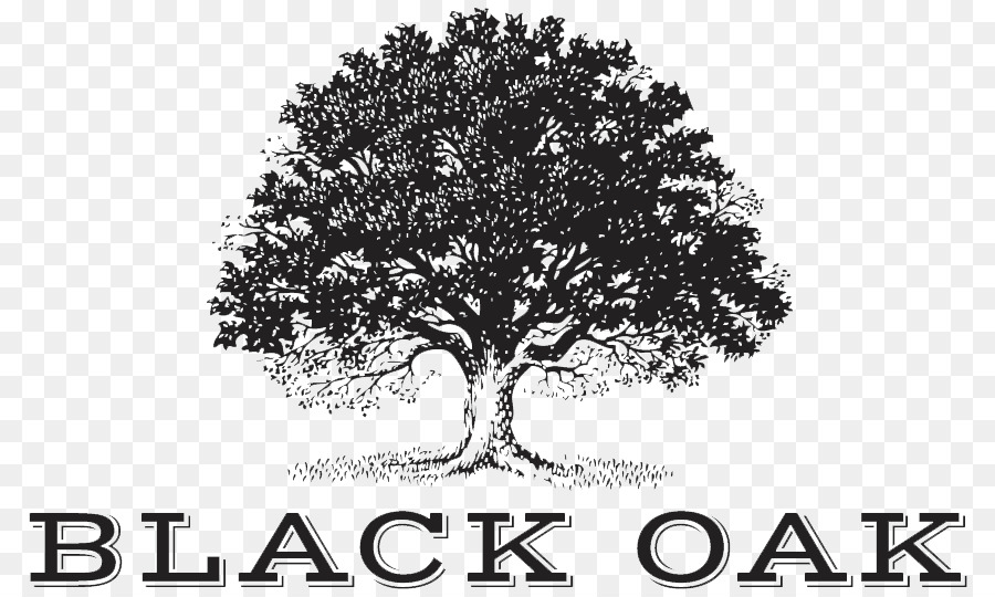 Black oak Wein-Cabernet Sauvignon-Baum-Logo - Wein