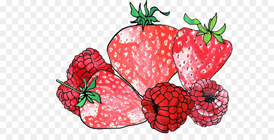 Erdbeere Gemüse Superfood Natürliche Lebensmittel - Früchte Skizze