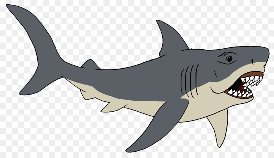 Cá mập hổ Requiem cá mập - cá mập