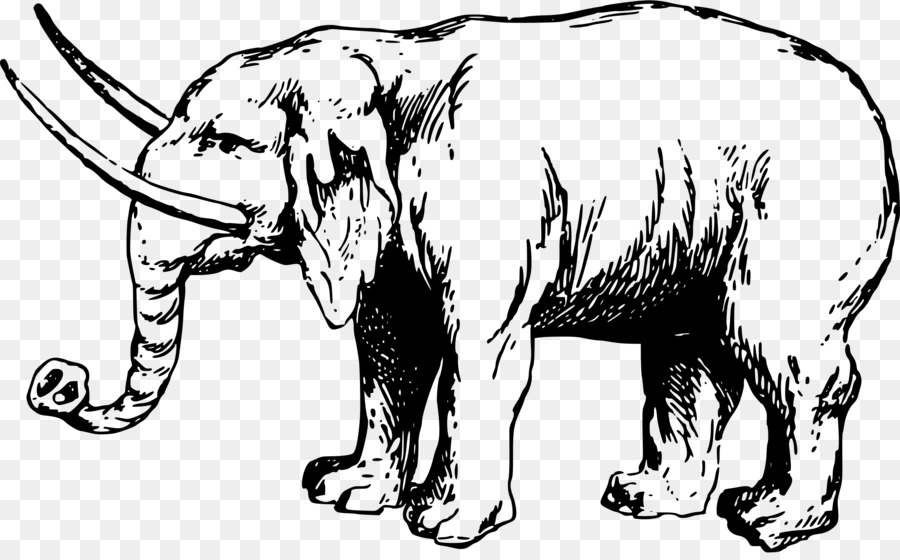 Africano, elefante, elefante Indiano Elephantidae Clip art - elefante hd