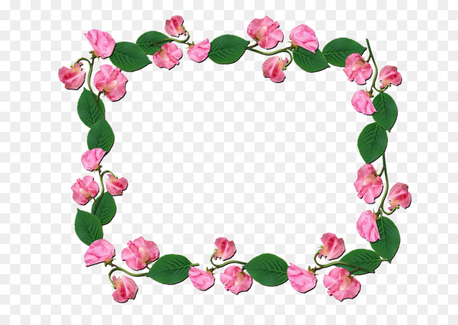 Blumen Floral-design-Sweet pea-Blütenblatt Rose Familie - Blume