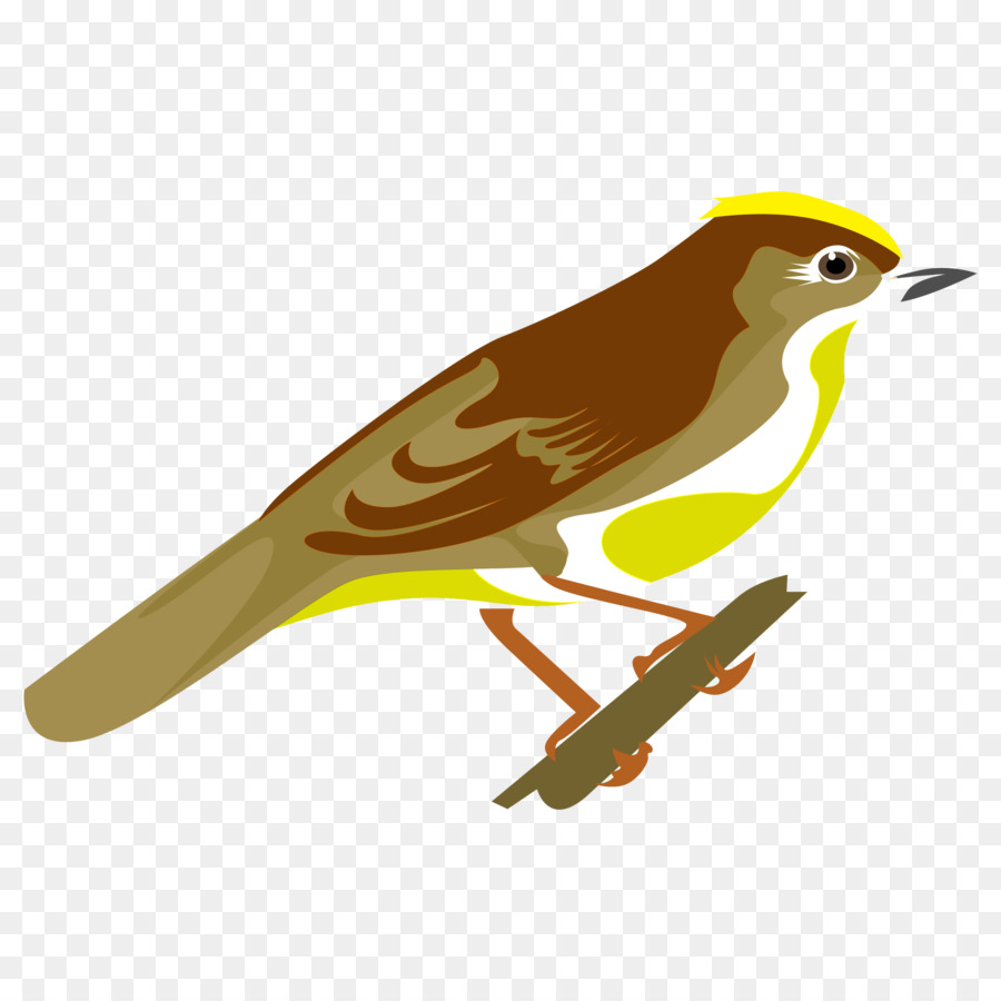 Alte Welt orioles Finken Common nightingale Schnabel - Feder